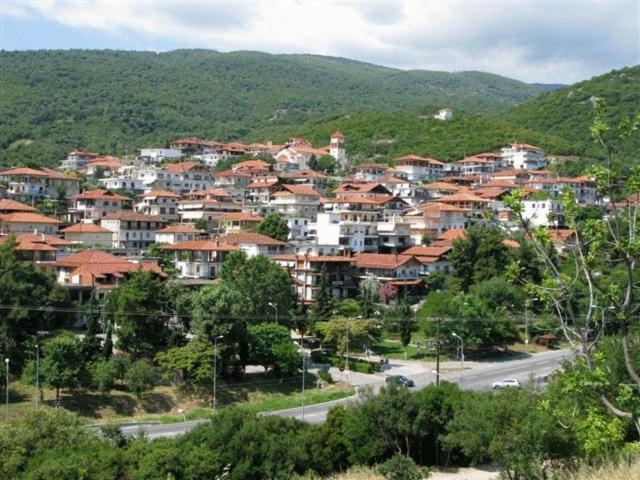 Apartments Erato Neos Panteleimonas Zewnętrze zdjęcie